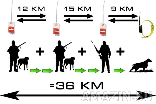 Как работает навигатор с GPS ошейником Amazin Locator