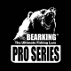 Bearking