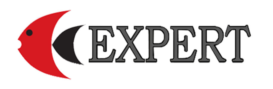 expert лого expert лого