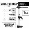 Электромотор лодочный Haswing Protruar 1.0 12V 65 lbs (75 см.), фото 
