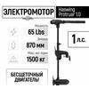 Электромотор лодочный Haswing Protruar 1.0 12V 65 lbs (87 см.), фото 