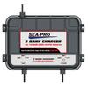 Зарядное устройство Sea-Pro ТЕ4-0289 (1х12В AGM,  1х36В LiFePO4), фото 