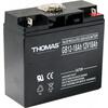Аккумулятор Thomas (18 A/H), 12V, фото 