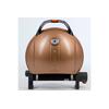 Портативный газовый гриль O-grill 900MT черно-золотой (в комплекте адаптер тип А), Цвет: черно-золотой, фото 