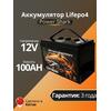 Аккумулятор Lifepo4 Power Shark 12V 100AH, фото 