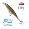 Воблер RAPALA X-Rap 10, TR, Цвет: TR, Вес гр: 13, Длина, мм: 100 мм, фото 