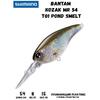 Воблер SHIMANO Bantam Kozak MR 54mm 8g T01 Pond Smelt, Цвет: T01 Pond Smelt, Вес гр: 8, Длина, мм: 54 мм, фото 