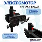 Электромотор транцевый Sea-Pro T24/60, фото , изображение 3