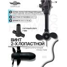 Электромотор лодочный Haswing W-20, фото , изображение 4