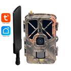 Фотоловушка Suntek Tuya935, фото 