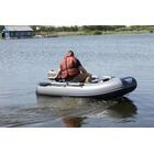 Надувная лодка Флагман 280, фото 