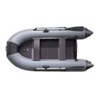 Надувная лодка Prof Marine PM 320 EL 9, фото 