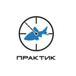 практик лого