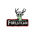Фотоловушки Forestcam