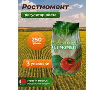 МДК Регулятор роста РОСТМОМЕНТ 250г, 3 пачки, фото 