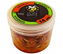 Lion Baits Бойл в банке (HI-ATTRACT) 14 мм FRUTELLA - 100 гр, Вкус для группировки: FRUTELLA, фото 