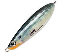 Незацепляйка с шумовой камерой RAPALA Rattlin' Minnow Spoon 08, BG, фото 