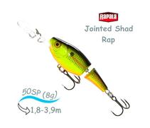 Воблер RAPALA Jointed Shad Rap 05, CB, Цвет: CB, фото 