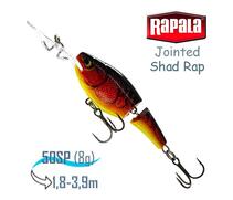 Воблер RAPALA Jointed Shad Rap 05, RFCWT, Цвет: RFCW, фото 