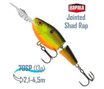 Воблер RAPALA Jointed Shad Rap 07, CB, Цвет: CB, Вес гр: 13, Длина, мм: 70 мм, фото 
