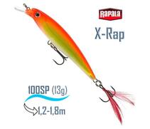 Воблер RAPALA X-Rap 10, HH, Цвет: HH, Вес гр: 13, Длина, мм: 100 мм, фото 