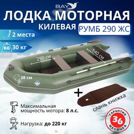 Лодка моторная килевая Румб 290 ЖС зеленый, фото 