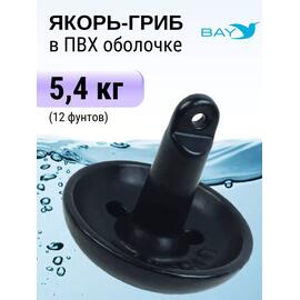 Якорь для лодки ПВХ гриб 5.4 кг (12 фунтов), фото 