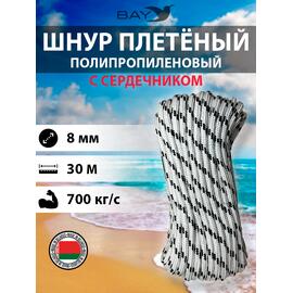Шнур плетеный BAY (веревка) полипропиленовый 8мм х 30м черный, фото 