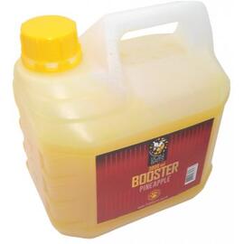 Lion Baits Booster PINEAPPLE (ананас) - 3л, Вкус для группировки: Ананас, фото 