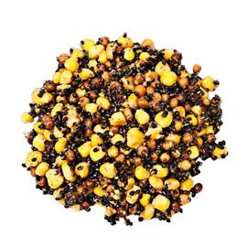 Lion baits Зерновой "Спод-микс" (тигровый орех, кукуруза, конопля) в вакууме 1кг, Вкус для группировки: тигровый орех, кукуруза, конопля, Вес, гр: 1000, фото 