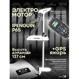 Электромотор лодочный Haibo iPenguin P65 (GPS якорь), фото 