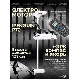 Электромотор лодочный Haibo iPenguin P70, фото 