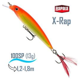 Воблер RAPALA X-Rap 10, HH, Цвет: HH, Вес гр: 13, Длина, мм: 100 мм, фото 