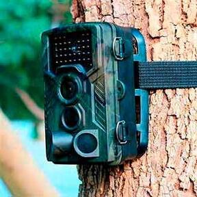 Фотоловушка Филин 200 4G, фото , изображение 4