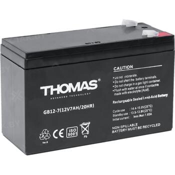 АККУМУЛЯТОР THOMAS (26 A/H), 12V, фото 