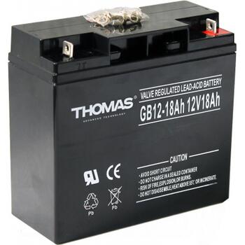 Аккумулятор Thomas (18 A/H), 12V, фото 