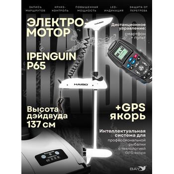 Электромотор лодочный Haibo iPenguin P65 (GPS якорь), фото 