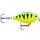 Воблер Rapala X-Light Crank Shallow Runner 03, FT, Цвет: FT, Вес гр: 4, Длина, мм: 35 мм, фото 