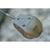 Кормушка Guru Maggot Feeder large 55г, Размер: Large, Вес: 55 г, фото , изображение 2