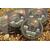 Поводковый материал KORDA Dark Matter Braid 20lb 20м, Разрывная нагрузка: 20 lb, фото 