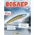 Воблер TsuYoki CHANCE 115SP X100, фото 