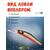 Воблер TsuYoki WATSON DR 80SP 207R, Цвет: 207R, Вес воблера (г): 11, Длина воблера (мм): 80, Тип воблера: Минноу, Тип плавучести воблера: суспендер, Штрихкод: 4627152671610, Количество крючков: 2, фото , изображение 3