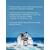 Моторное масло (4-х тактное) Motul Outboard Tech 10W-30 1л, фото , изображение 8