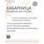 Хабарница. Контейнер для находок, фото , изображение 3