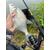Фидерное удилище @SnastiZdraste Feeder Rod #Dralka 330cm 90g, фото , изображение 13
