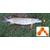 Погремушки Dalke Fishing CatFishca Double Rattle 4 шт., фото , изображение 5