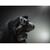 Фонарь Armytek Predator Pro Magnet USB White, фото , изображение 5
