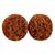 Lion Baits Бойлы тонущие TROPHY BAITS Snark 20 мм, фото , изображение 3