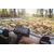 Глубинный металлоискатель Golden Mask Deep Hunter Pro 3 SE (Pack 6), фото , изображение 6