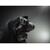 Фонарь Armytek Predator Pro Magnet USB Теплый, фото , изображение 4